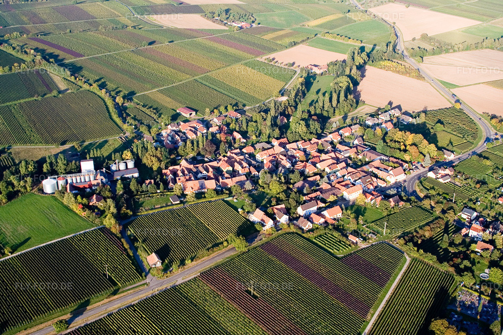 Luftbild: Ortsansicht der Straßen und Häuser der Wohngebiete im Ortsteil Appenhofen in Billigheim-Ingenheim im Bundesland Rheinland-Pfalz in Deutschland. Foto: IMG_13723.jpg vom 28.09.2008 durch Werner Riehm/FLY-FOTO.de