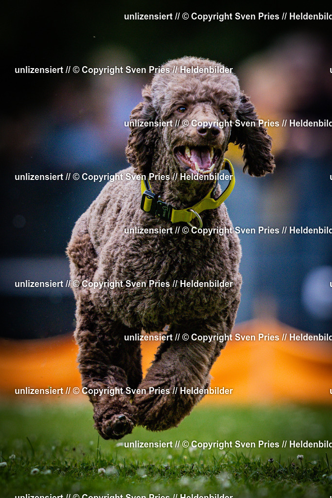 Sven Pries | 2025-05-29 - Pudelrennen KA-Durlach - Realisiert mit Pictrs.com