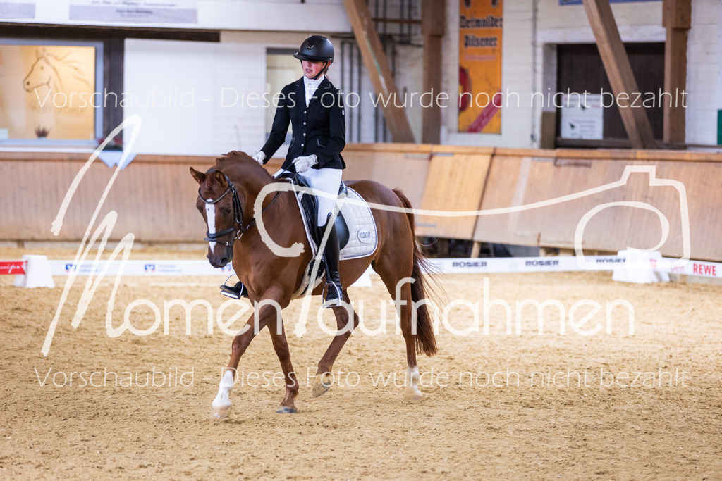 Sth-A-Dre-2St-209 | MomenTaufnahmen Pferdesportfotos