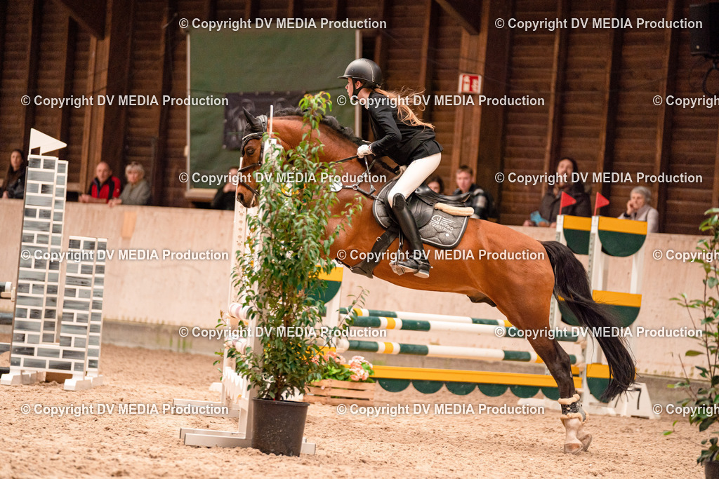 Springen Tag 3-214 | dv-media-shop - Realisiert mit Pictrs.com