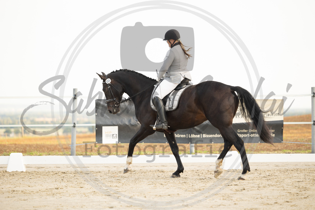 994A9996 | sabrinanicolaifotografie - Realisiert mit Pictrs.com