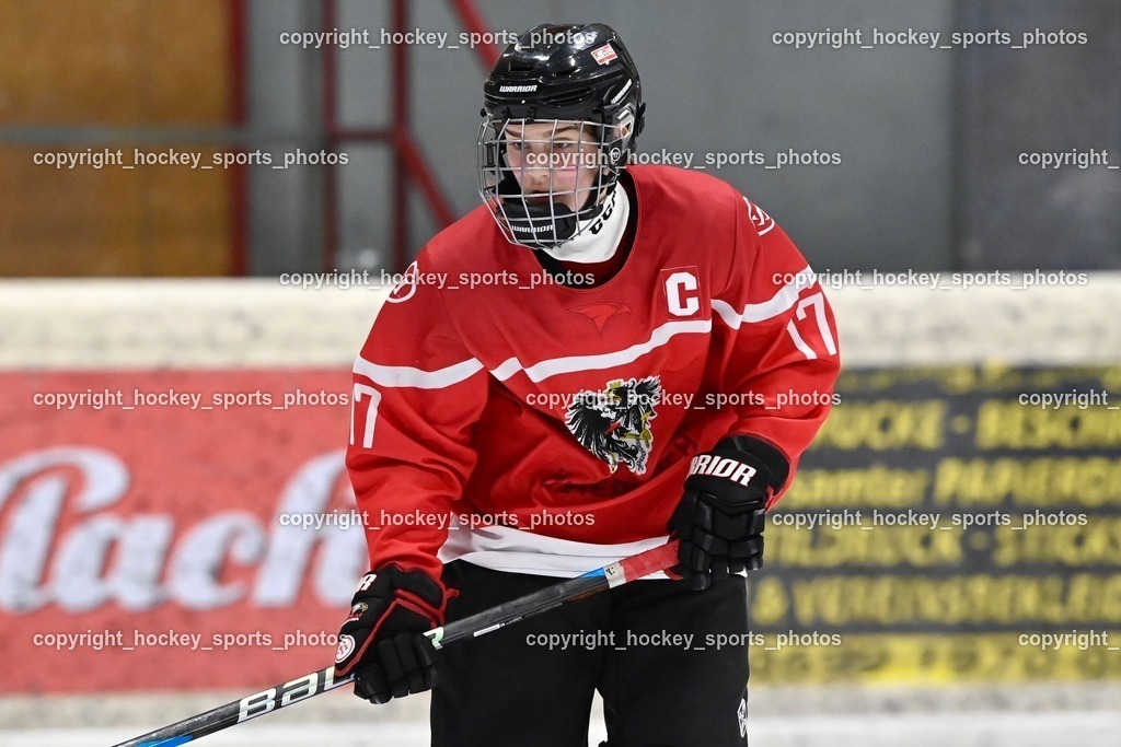 BST_3547 | hockey sports photos, Pressefotos, Sportfotos, hockey247, win 2day icehockeyleague, Handball Austria, Floorball Austria, ÖVV, Kärntner Eishockeyverband, KEHV, KFV, Kärntner Fussballverband, Österreichischer Volleyballverband, Alps Hockey League, ÖFB, 
