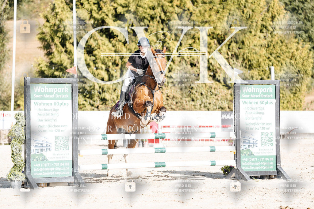 CK909368 | Turnierfotografie Pferdefotografie Trier Rheinland-Pfalz Pferdesport Reitsport Tierfotografie Sportfotografie Pferdevideo Pferdevideografie Equestrianvideography equestrianphotography  - Realisiert mit Pictrs.com