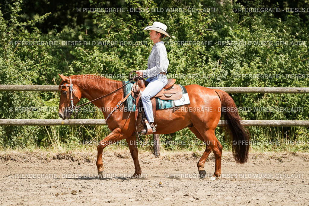 DSC09542 | Pferdegrafie