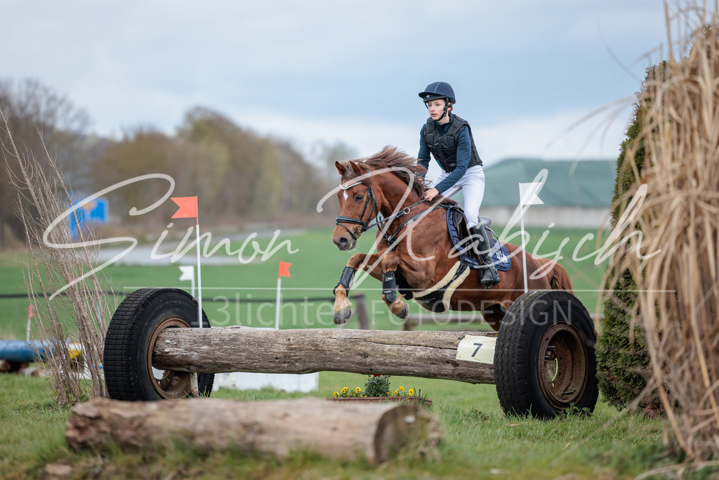 20260329-_3LI5434 | Tierfotografie Pferde, Hunde, Katzen, Haustiere.
Turnierfotografie Reitturniere, Reiten, Springreiten, Dressur in Hanau, dem Main-Kinzig-Kreis und dem Rhein-Main- Gebiet um Frankfurt