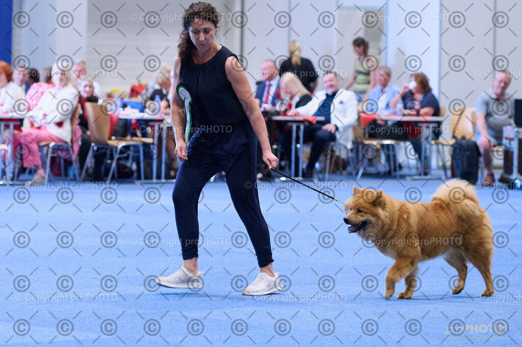 202406_ÖKV-IHA-Tulln24_DSC_3927 | proPHOTO - Realisiert mit Pictrs.com