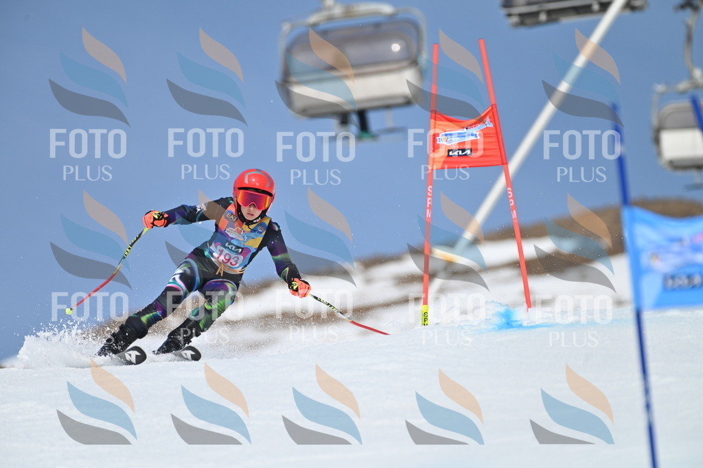 BGV_0852 | holidayphoto