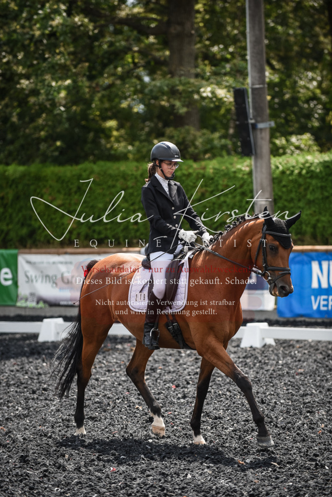 DSC_4354 | Pferde- und Turnierfotografie in Westsachsen. Pferdeportraits, Auftragszeichnungen und intuitive Kunst.