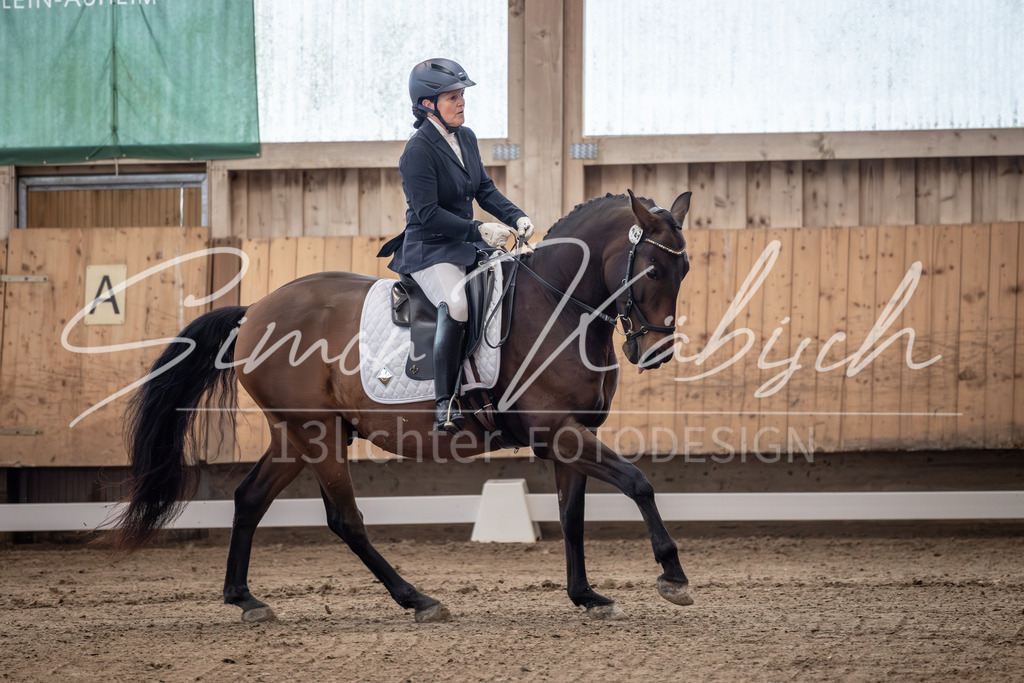 20251011-_3LI9291 | Tierfotografie Pferde, Hunde, Katzen, Haustiere.
Turnierfotografie Reitturniere, Reiten, Springreiten, Dressur in Hanau, dem Main-Kinzig-Kreis und dem Rhein-Main- Gebiet um Frankfurt