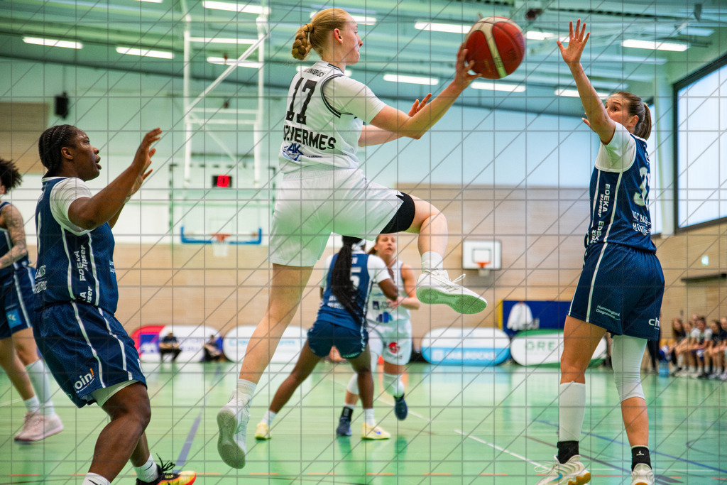 2. DBBL Nord 25/26 | PlayOff 1/4-Finale Spiel 1 | BBC Osnabrück vs. USC Bascats Heidelberg | 19.04.26: 2. DBBL Nord 25/26 | PlayOff 1/4-Finale Spiel 1 | BBC Osnabrück vs. USC Bascats Heidelberg / Osnabrück / Deutschland  //   CREDIT:www.bullenfotos.de, Martin König, Hörner Weg 40, D-49078 Osnabrück, +4917663732967 // Nutzung und Weitergabe nur zu den vereinbarten Zwecken. Presseanfragen an Ersteller. Alle Rechte beim Ersteller. Honorierung nach MFM. - Realisiert mit Pictrs.com