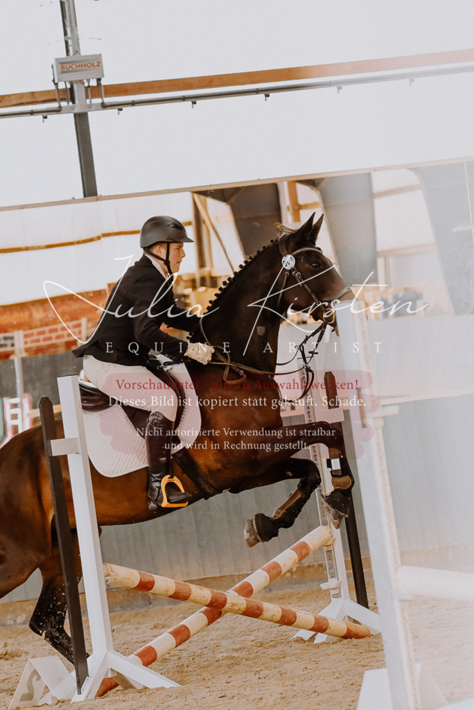 DSC_7436 | Pferde- und Turnierfotografie in Westsachsen. Pferdeportraits, Auftragszeichnungen und intuitive Kunst.