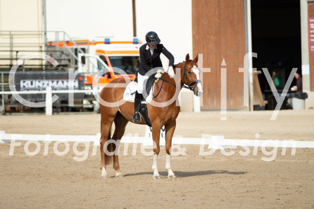 IMG_0684 | Creatify Fotografie