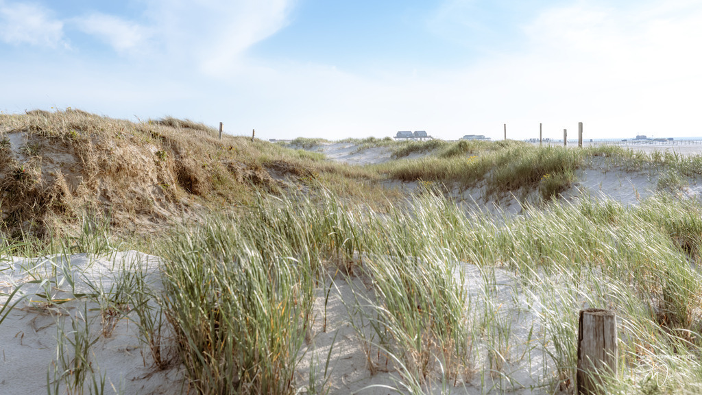 20240506-185518 NORDSEE SPO _101-1 | Herzlich willkommen auf meiner Seite! Ich bin Elke Wallnisch, Deine Fotografin für lichtstarke Momente. Der Name steht für alles, was mich mit der Fotografie verbindet: Das Licht und seine machtvolle Wirkung auf eine Situation oder unsere Stimmung - Realisiert mit Pictrs.com