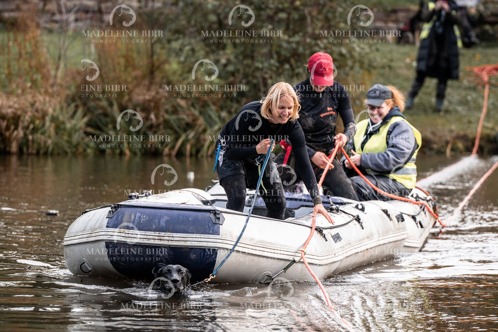 madeleinebirr-fotografie2025.campcanis.Startbis9Uhr-221 | hundefotografie-birr