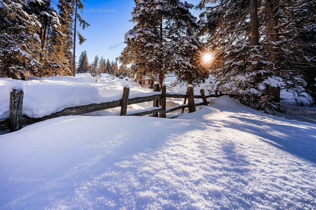 Weg zu Sattelbergalm | Fotograf Tirol Imst Pixelknipserei