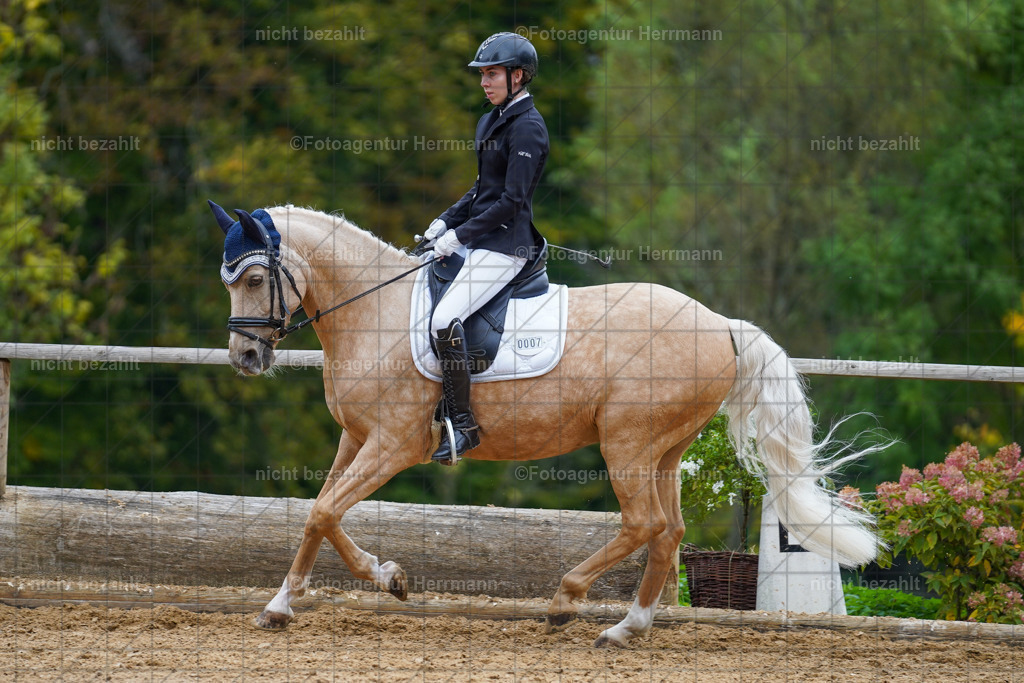 20221008-FAH01576 | Diessen am Ammersee, 2022, Dressur- und Springturnier, Reitsportbilder, Turnierfotografen Bayern, Pferdefotografen, Fotoagentur Herrmann, Turnierbilder