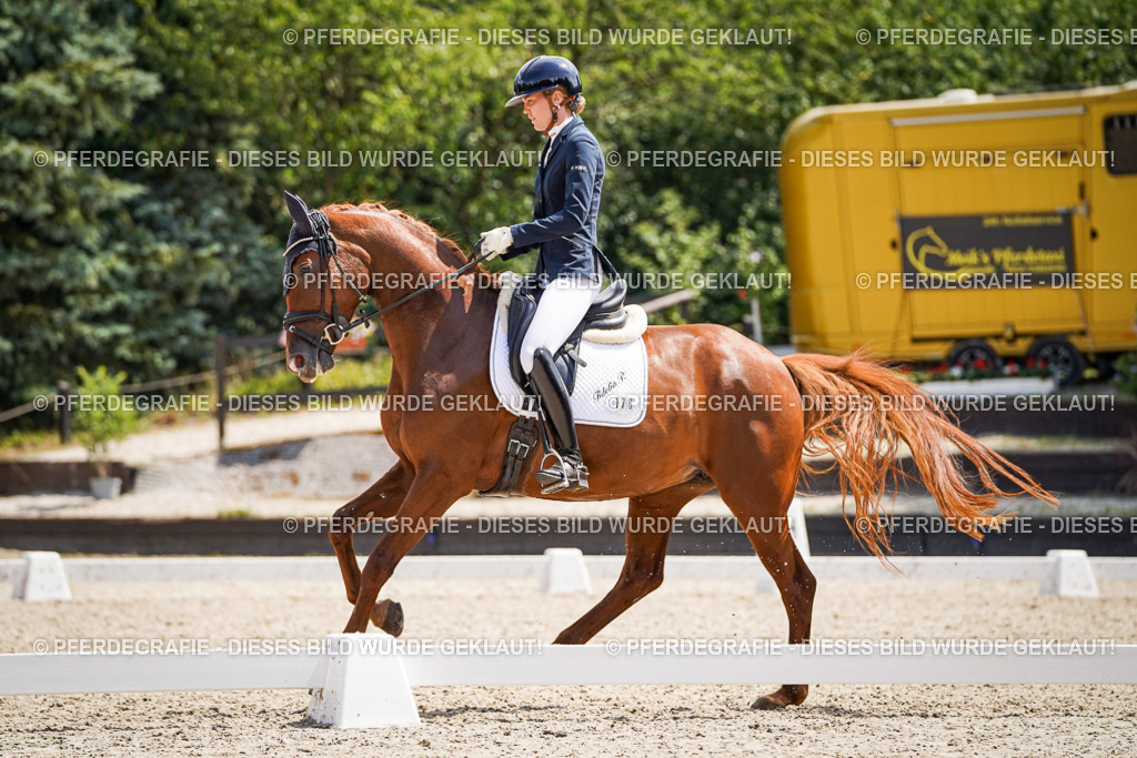 DSC01037 | Pferdegrafie