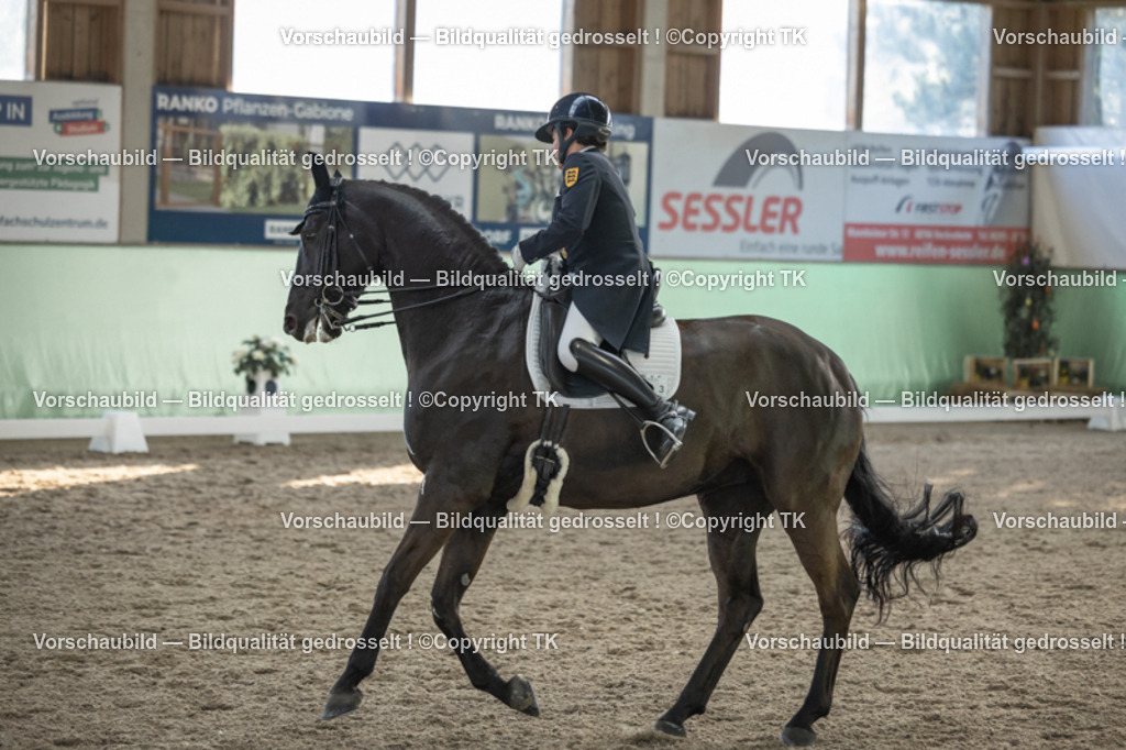 _D5A0550 | Emotionale Pferde- & People-Fotografie rund um Heidelberg, Leimen & Umgebung. Natürliche Fotos von Pferd, Mensch & Familie. Jetzt Termin sichern!