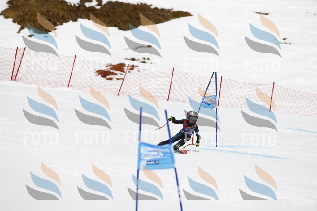 _U3G5918 | holidayphoto