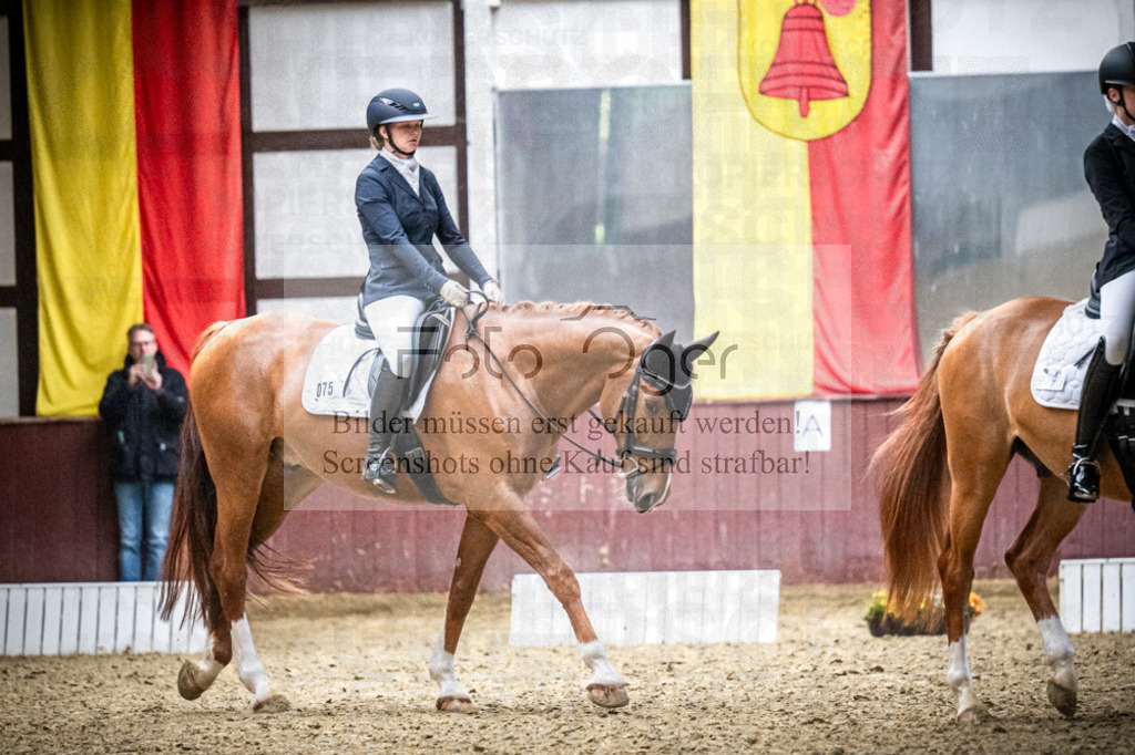 DOS_0277 | Reitturnier Lüdinghausen - Realisiert mit Pictrs.com