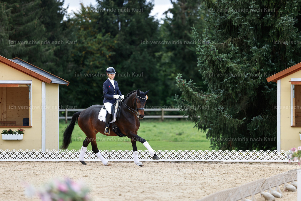 3-Siegerehrung-Dressur M_-StoibPH-2578 | working equitationturnier fotograf videograf stoibphotography marixx film working equitation deutschland reitsport turnierfotografie eventfotografie equestrian events