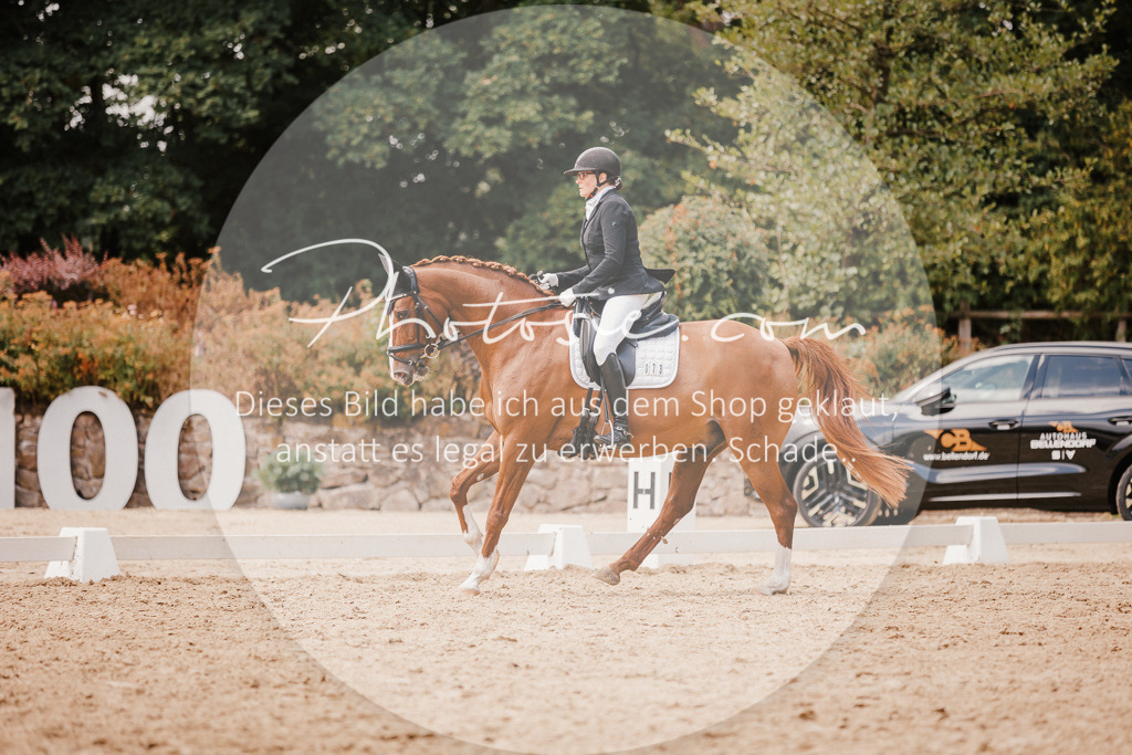 3I6A6022 | Stimmungsvolle Portraits und Reitsportfotografie im Ruhrgebiet und im Münsterland.

Pferdefotografie, Hundefotografie, Tierfotografie, Reportagen, Portraits von Tier und Mensch, Turnierfotografie in Bochum, Recklinghausen, Marl, Haltern am See, Dülmen.. - Realisiert mit Pictrs.com