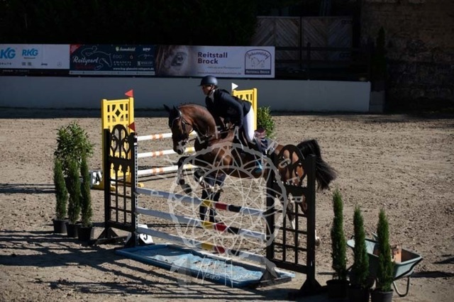 2B4A0216 | pixelfaenger - Realisiert mit Pictrs.com