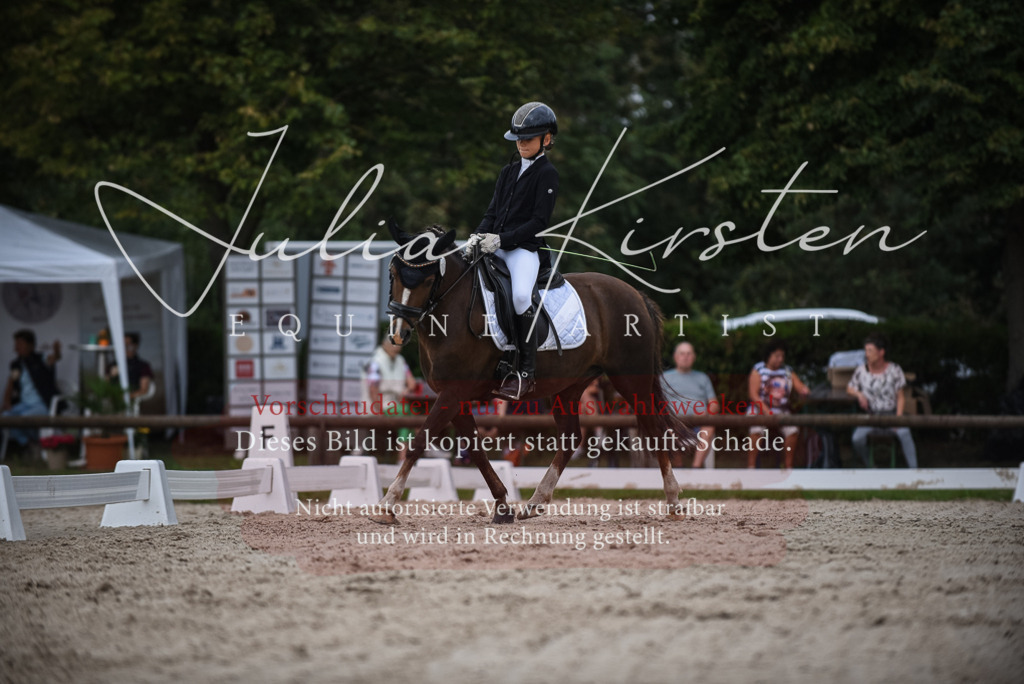 DSC_8158 | Pferde- und Turnierfotografie in Westsachsen. Pferdeportraits, Auftragszeichnungen und intuitive Kunst.