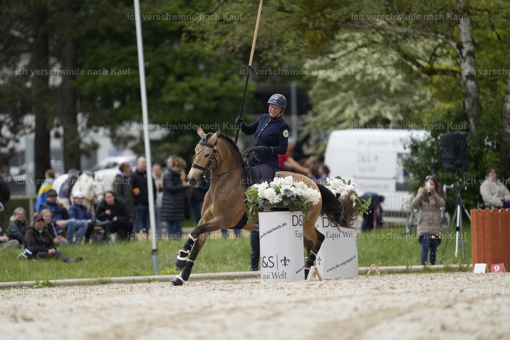 PI26_SP_Stoibphotography_A748209.JPG | working equitationturnier fotograf videograf stoibphotography marixx film working equitation deutschland reitsport turnierfotografie eventfotografie equestrian events