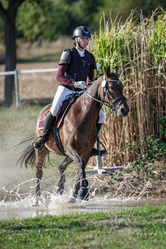 20260905-_3LI0544 | Tierfotografie Pferde, Hunde, Katzen, Haustiere.
Turnierfotografie Reitturniere, Reiten, Springreiten, Dressur in Hanau, dem Main-Kinzig-Kreis und dem Rhein-Main- Gebiet um Frankfurt