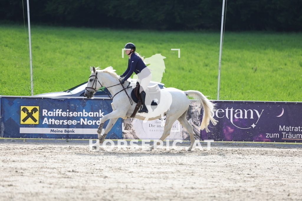 0P6A5942 | Willkommen bei Brunnmayr - Design & Fotografie – Ihrem Spezialisten für Reitturniere und Pferdeveranstaltungen in Oberösterreich, Salzburg und Bayern! Seit über 17 Jahren sind wir leidenschaftlich dabei.