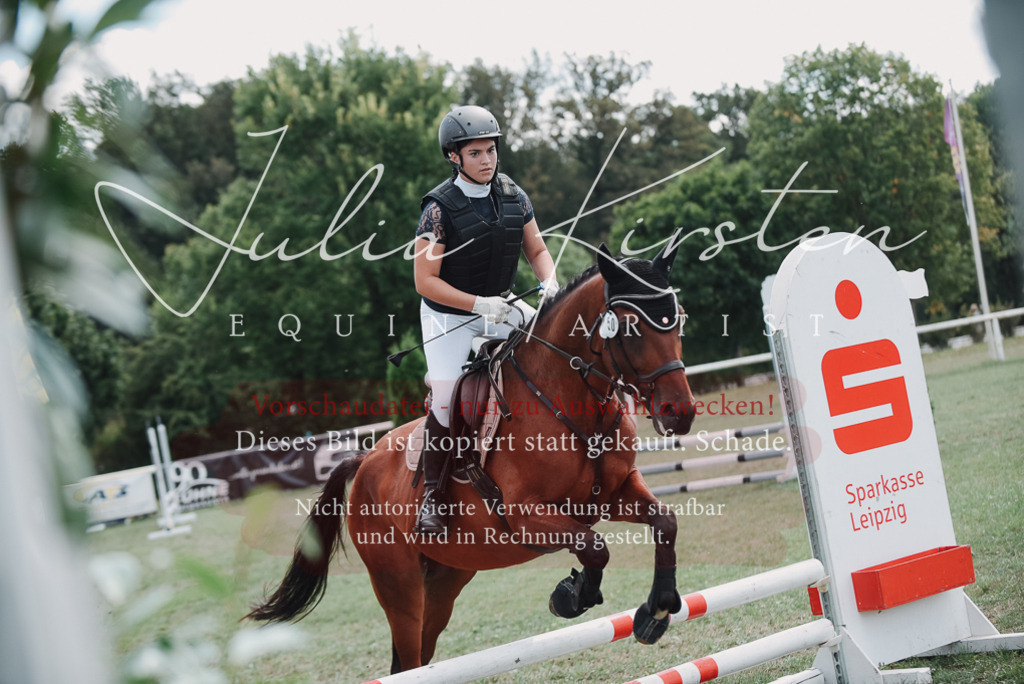 DSC_5708 | Pferde- und Turnierfotografie in Westsachsen. Pferdeportraits, Auftragszeichnungen und intuitive Kunst.