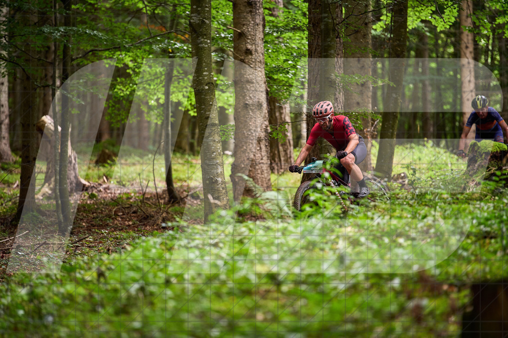 Betriebszentrum Laubenbachmühle, Frankenfels, Österreich - 13. September 2025: Dirndltal Race - Fun und Trophy RaceFotograf: Martin Bihounek / martinbihounek.com | 13. September 2025 Betriebszentrum Laubenbachmühle, Frankenfels, Österreich : Dirndltal Race - Fun und Trophy Race •••••Photo by: Martin Bihounek / martinbihounek.comInsta: @martinbihounekcom