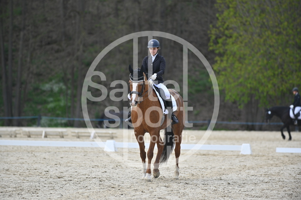 DSC_4810 | sattelsport - Realisiert mit Pictrs.com