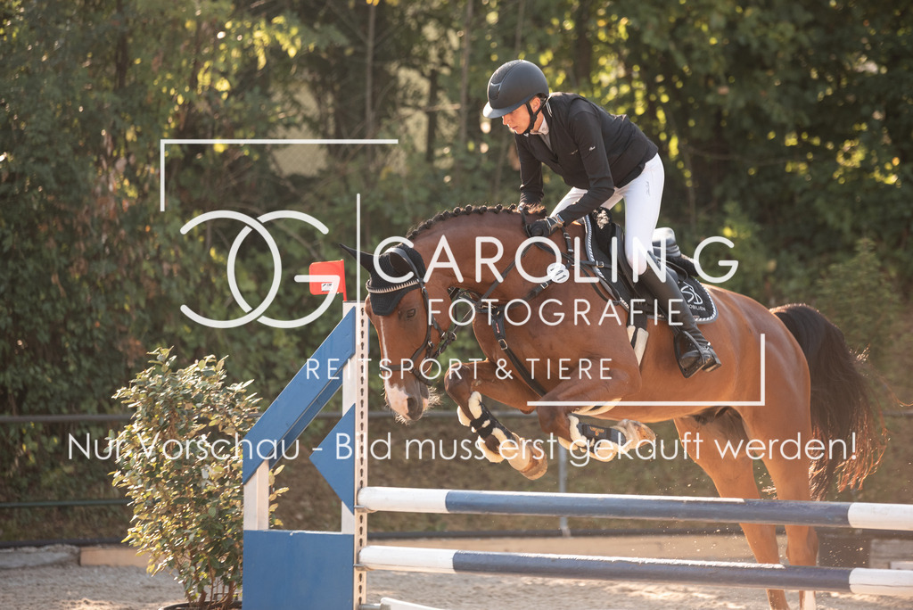 DSC_6518 | Turnierfotografin Carolin Gieschke, Turnierfotografie Carolin G Fotografie, Turnierfotos Kirchheim/Teck, Esslingen, Stuttgart, Bodenseekreis