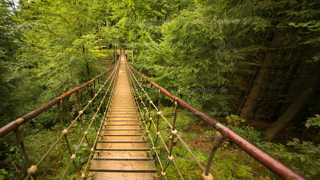 Geheimtipp am Rothaarsteig: Abenteuerliche Seilbrücke | Seilbrücke im Wald auf dem Rothaarsteig Nähe Schmallenberg im Sauerland. 