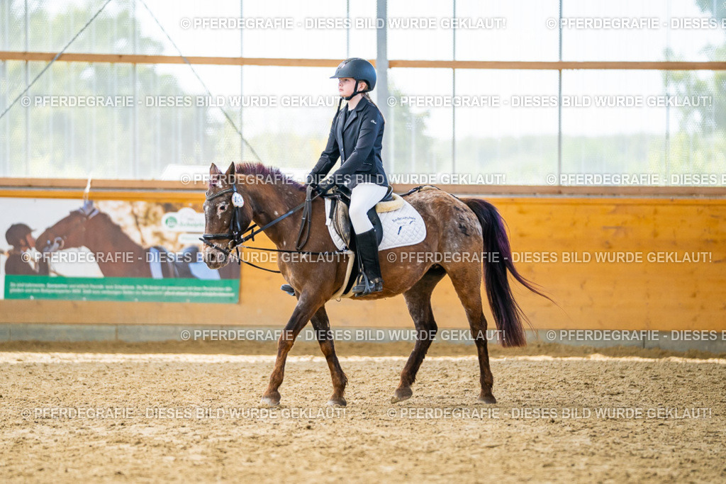 DSC01349 | Pferdegrafie