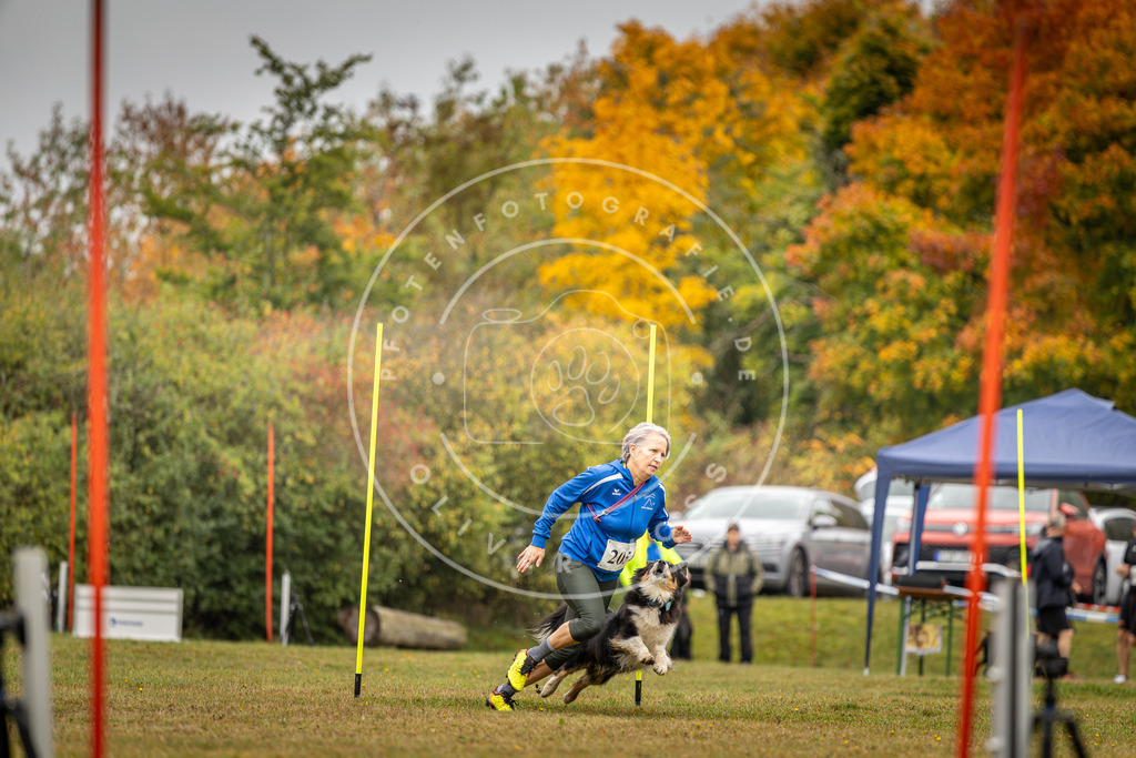 Pfotenfotografie_DV3A2090 | Hundefotografie, Tierfotograf, Pfotenfotografie, Fotoshooting Hund, Hunde Portrait, Hundesport, Hundeportraits, Heideshooting, Hunde, Sportfotograf, Hundefotograf, Turnierhundsport, THS,  - Realisiert mit Pictrs.com