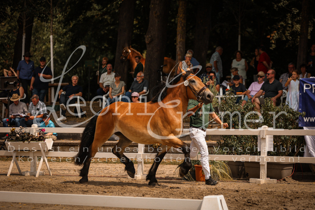 2.Sa00077 | Leoni Ertmer Photography - Realisiert mit Pictrs.com