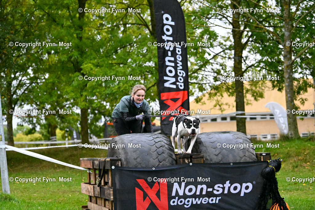 DSC_3379 | Hallo und herzlich Willkommen auf meiner Shop-Seite Fynn Most.

Ich wünsche Dir viel Spaß beim stöbern durch die Bilder, wenn Du Fragen hast oder Bilder vermisst, kannst du mir gerne eine Nachricht schreiben. - Realisiert mit Pictrs.com