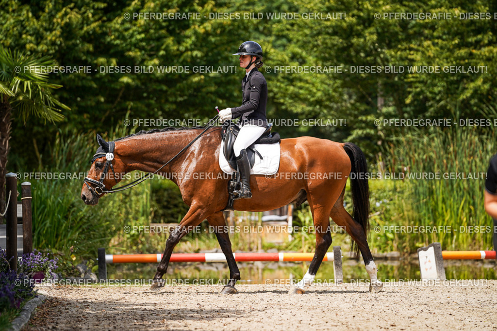 DSC02547 | Pferdegrafie