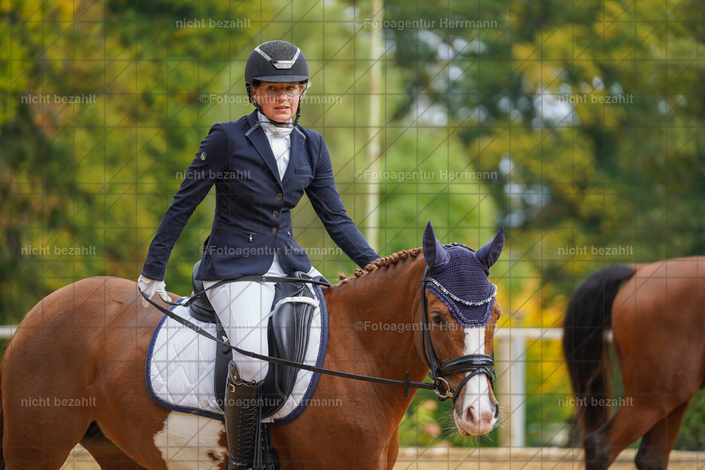 20221007-FAH09897 | Diessen am Ammersee, 2022, Dressur- und Springturnier, Reitsportbilder, Turnierfotografen Bayern, Pferdefotografen, Fotoagentur Herrmann, Turnierbilder