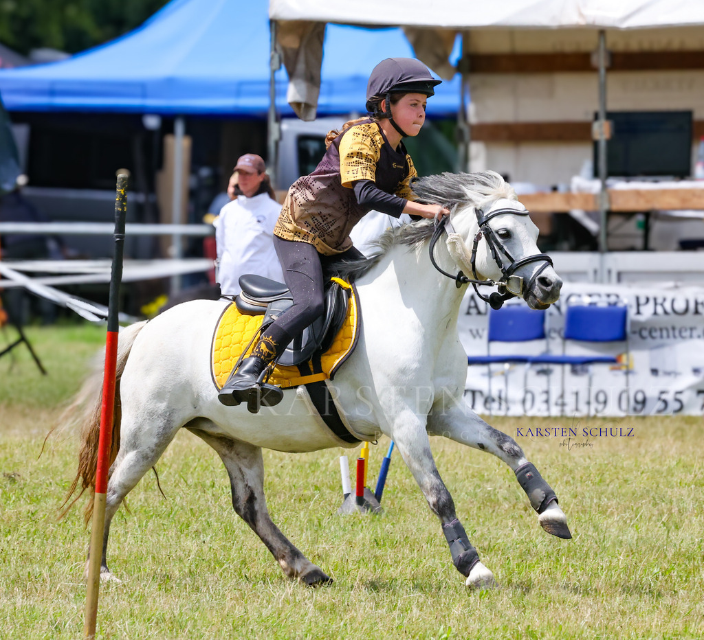 1B3A0616 | Reitsport Reiten
