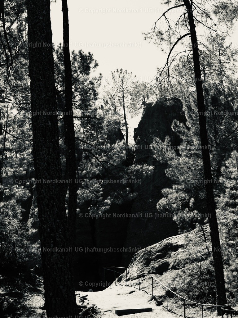 IMG_2948 | OLYMPUS DIGITAL CAMERA          - Realisiert mit Pictrs.com