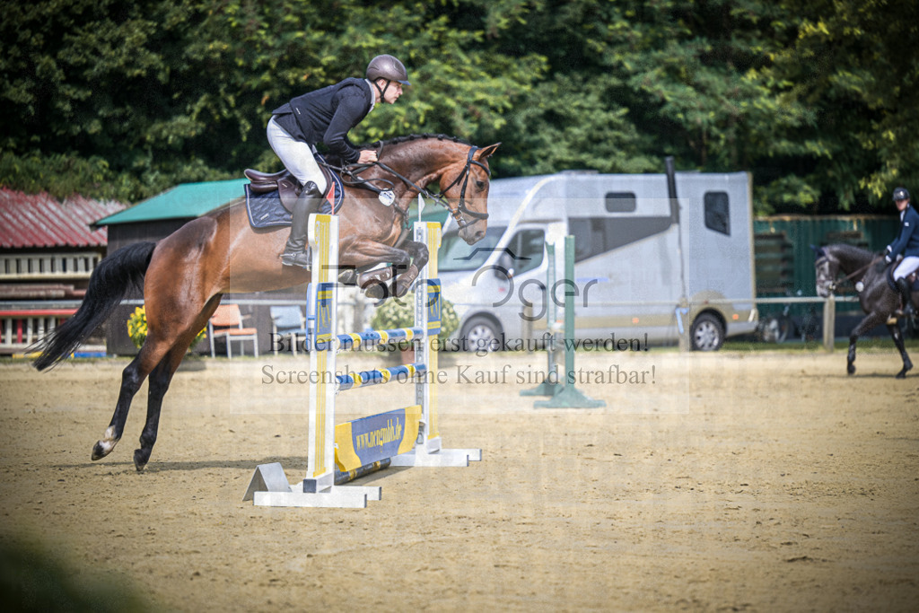 DOS_5181 | Entdecke hochwertige Reitturnierfotos von Foto Oger. Professionell, emotional und authentisch – jetzt Lieblingsmomente im Shop bestellen.Deutschlandweite Turnierfotografie. - Realisiert mit Pictrs.com