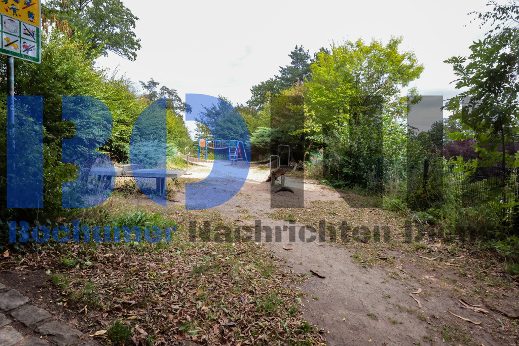 SES_RUHIGA20250918-37 | bond - Realisiert mit Pictrs.com