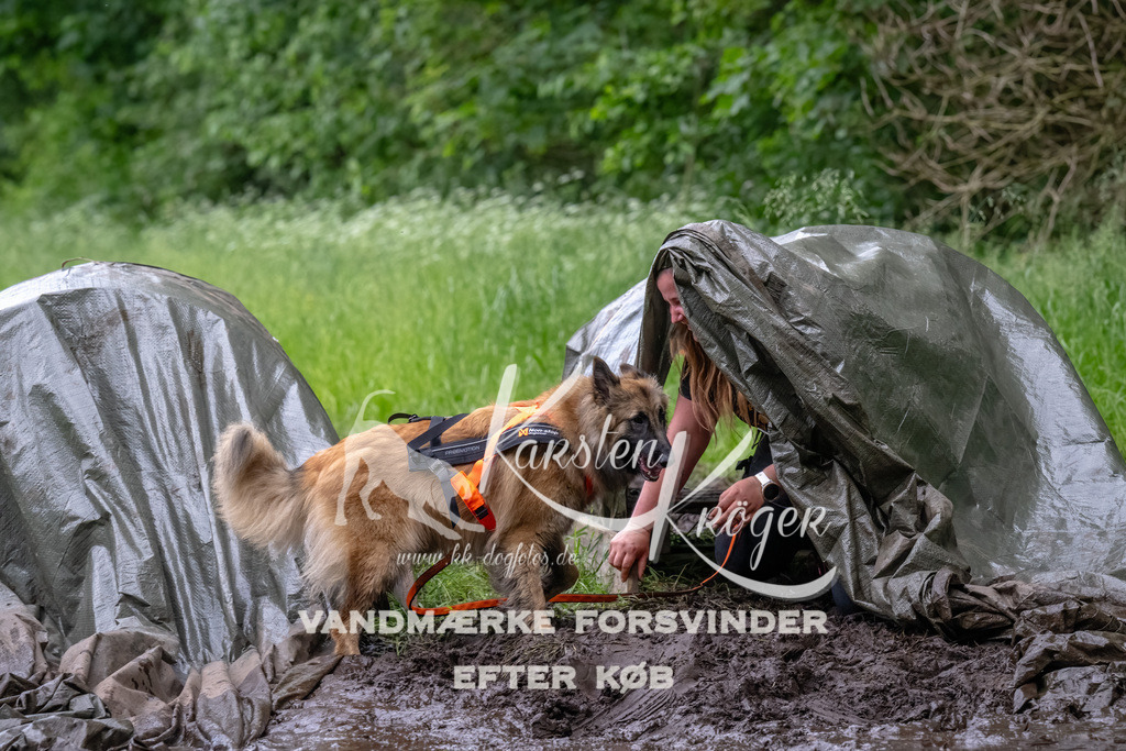 1607_ZZ92406-Bearbeitet | kk-dogfotos