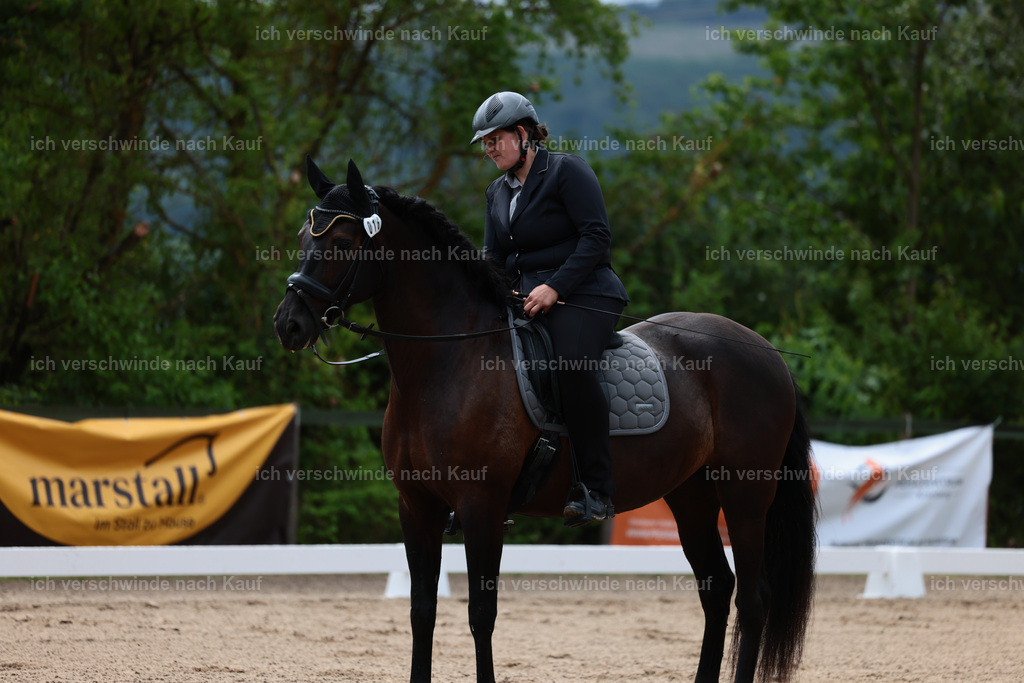 KlasseE_Stoibphotography_CAM21693.JPG | working equitationturnier fotograf videograf stoibphotography marixx film working equitation deutschland reitsport turnierfotografie eventfotografie equestrian events