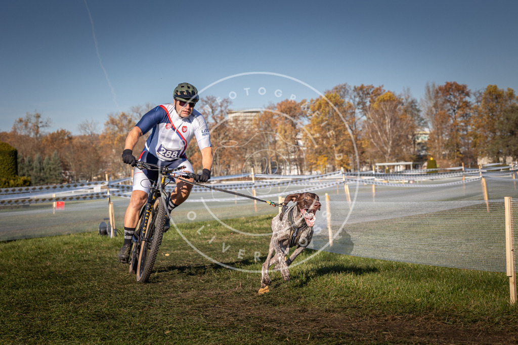 CaniXpix_0L8A5358 | Hundefotografie, Tierfotograf, Pfotenfotografie, Fotoshooting Hund, Hunde Portrait, Hundesport, Hundeportraits, Heideshooting, Hunde, Sportfotograf, Hundefotograf, Turnierhundsport, THS,  - Realisiert mit Pictrs.com