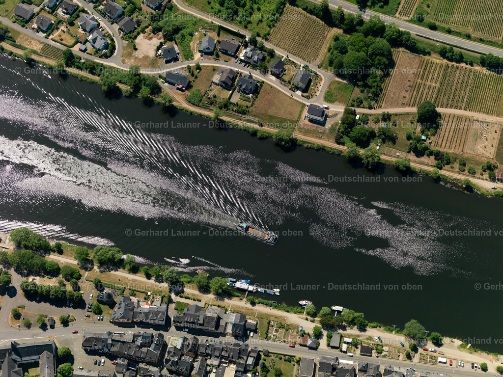 Zell-Mosel-3114408 | Zell, Mosel